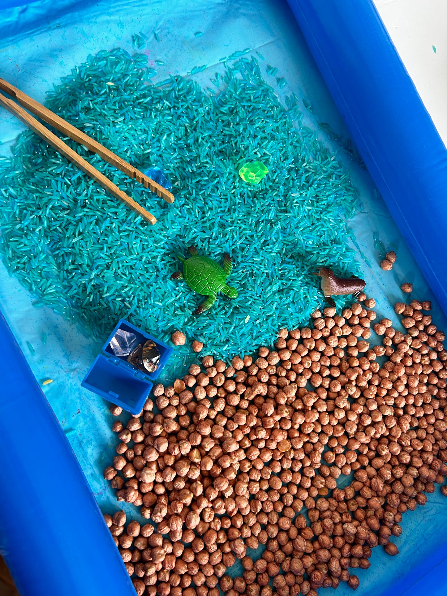 Under the sea kit